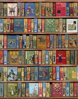 Bodleian High Jinks Bookshelves Sketchbook By Flame Tree