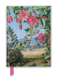 Title: Kew Gardens' Marianne North: View in the Brisbane Botanic Garden (Foiled Journal), Author: Flame Tree Studio