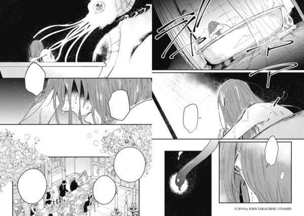 Witch of Thistle Castle Vol.2