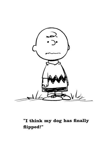 Peanuts: Snoopy and the Red Baron