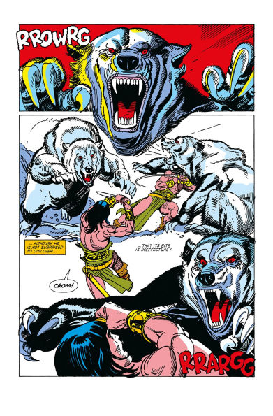 Conan The Barbarian: The Original Comics Omnibus Vol.5