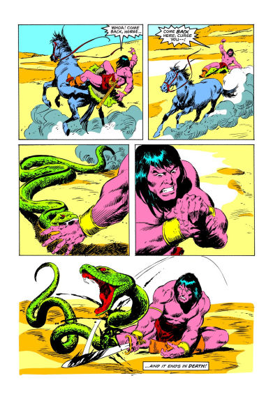 Conan The Barbarian: The Original Comics Omnibus Vol.5