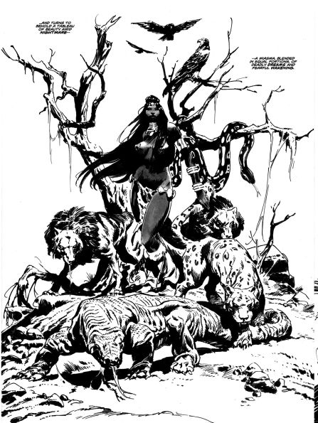 The Savage Sword Of Conan Vol.3