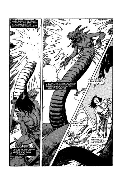 The Savage Sword Of Conan: The Original Comics Omnibus Vol.5