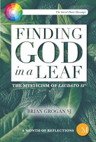 Title: Finding God in a Leaf: The Mysticism of Laudato Si', Author: Brian Grogan SJ