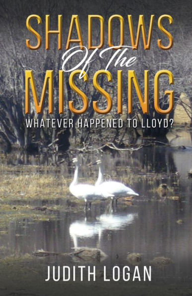 Shadows of the Missing: Whatever Happened To Lloyd?