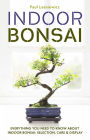 Indoor Bonsai