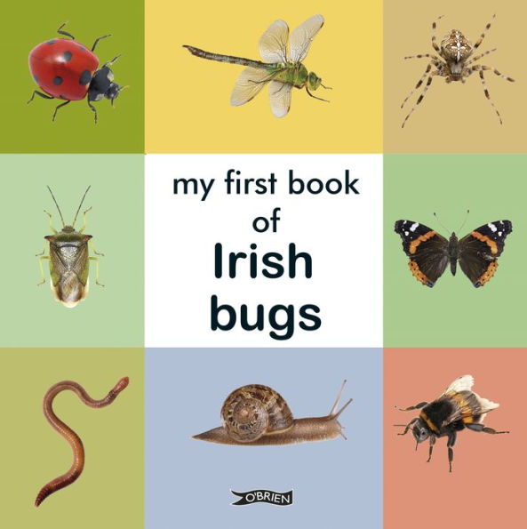 My First Book of Irish Bugs