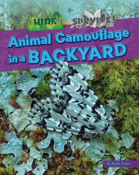 Animal Camouflage a Backyard