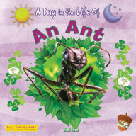 Title: An Ant, Author: Ruth Owen