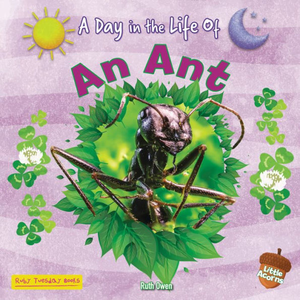 An Ant