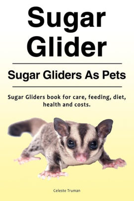 the pet glider diet