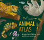 Animal Atlas