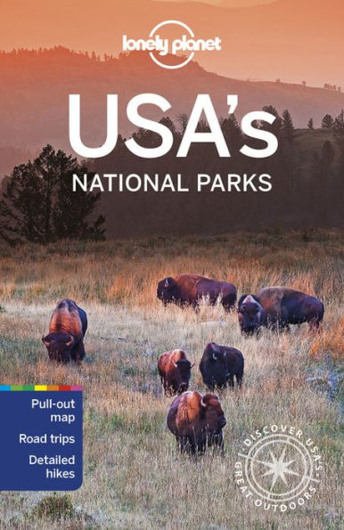 Lonely Planet USA's National Parks 3