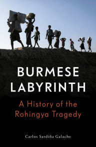 Title: The Burmese Labyrinth, Author: Carlos Sardina Galache