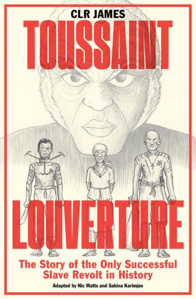 Toussaint Louverture: the Story of Only Successful Slave Revolt History