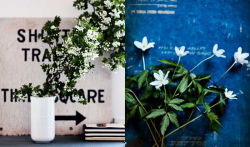 Alternative view 6 of Inspired by Nature: Creating a personal and natural interior