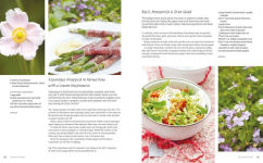 Alternative view 3 of A Perfect Day for a Picnic: Over 80 recipes for outdoor feasts to share with family and friends