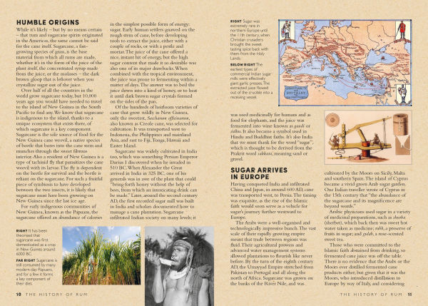 The Curious Bartender's Guide to Rum