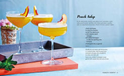 Alternative view 5 of Summer Fizz: Over 100 recipes for refreshing sparkling drinks