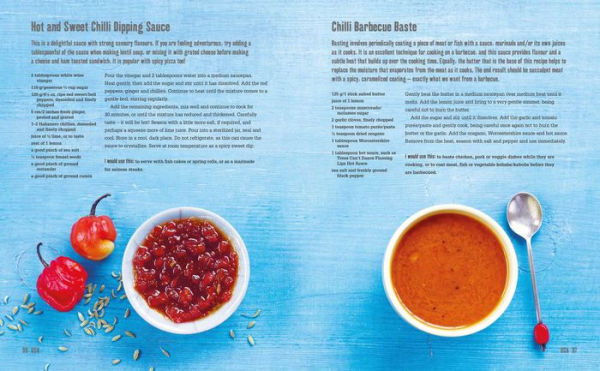 Red Hot Sauce Book: More than 100 recipes for seriously spicy home-made condiments from salsa to sriracha