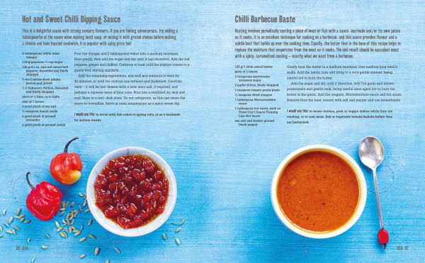 Red Hot Sauce Book: More than 100 recipes for seriously spicy home-made condiments from salsa to sriracha
