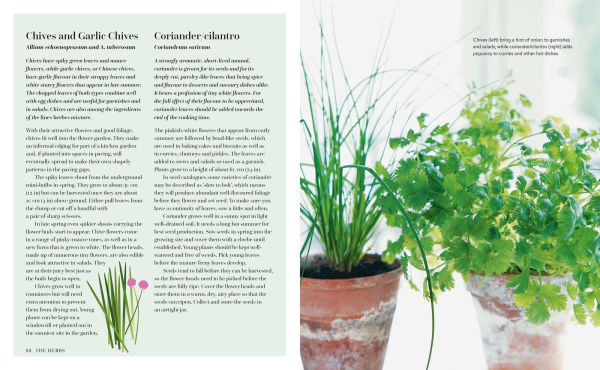 The Herb Kitchen: Recipes for enjoying & using herbs your cooking