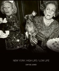 Download free kindle book torrents New York: High Life, Low Life 9781788842556 CHM by Dafydd Jones