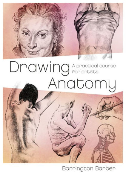 Drawing Anatomy: A Practical Course for Artists