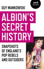 Albion's Secret History: Snapshots of England's Pop Rebels and Outsiders