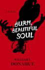 Burn, Beautiful Soul: A Novel