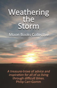 Title: Weathering the Storm, Author: Trevor Greenfield