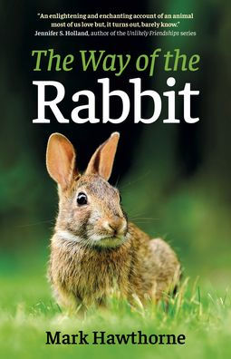 The Way of the Rabbit