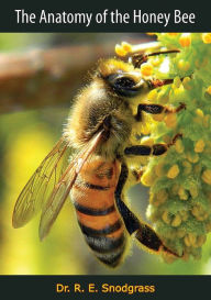 Title: The Anatomy of the Honey Bee, Author: Dr. R. E. Snodgrass