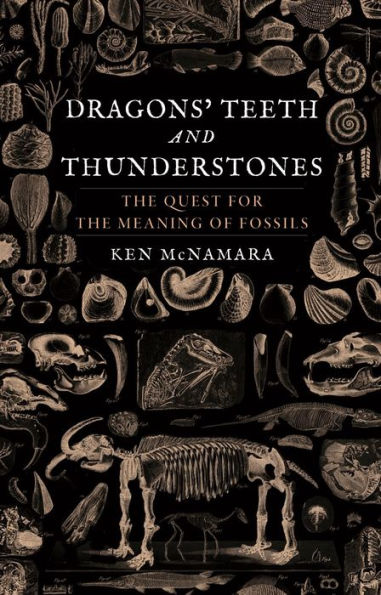 Dragons' Teeth and Thunderstones: the Quest for Meaning of Fossils