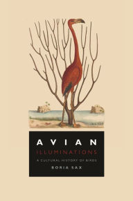 Book downloader for pc Avian Illuminations: A Cultural History of Birds