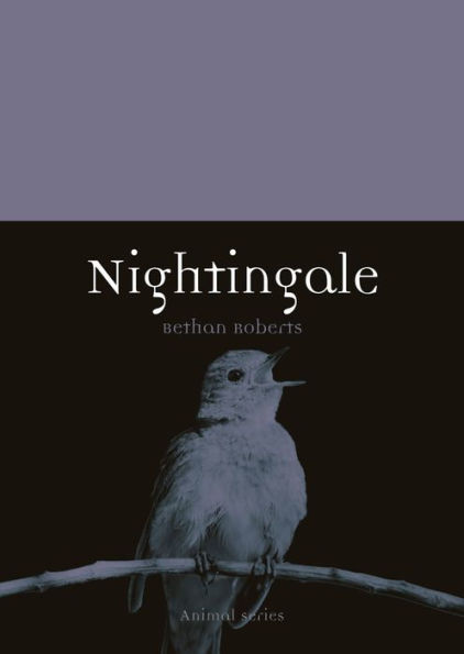 Nightingale