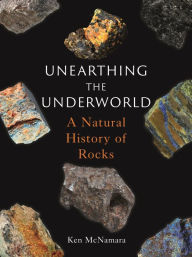 Pdf downloadable ebook Unearthing the Underworld: A Natural History of Rocks
