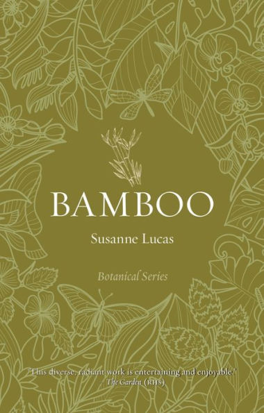 Bamboo