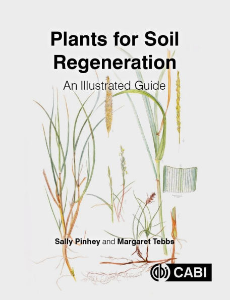 Plants for Soil Regeneration: An Illustrated Guide