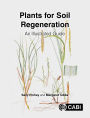 Plants for Soil Regeneration: An Illustrated Guide