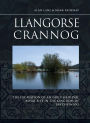 Llangorse Crannog: The Excavation of an Early Medieval Royal Site in the Kingdom of Brycheiniog