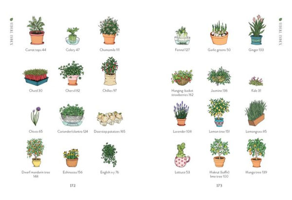 The Windowsill Gardener: 50 Easy-to-grow Plants to Transform Your Home