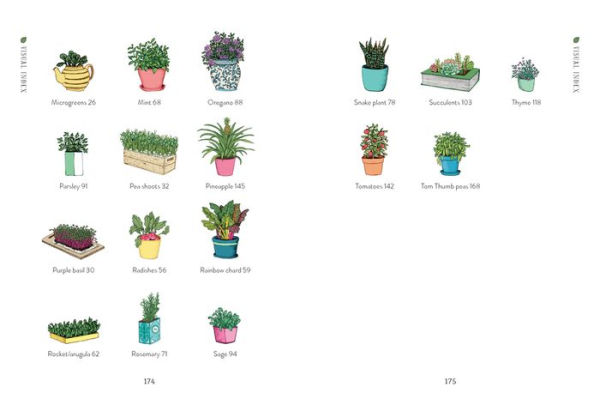 The Windowsill Gardener: 50 Easy-to-grow Plants to Transform Your Home