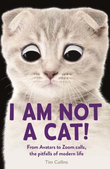 I Am Not a Cat!: From Avatars to Zoom Calls, the Pitfalls of Modern Life