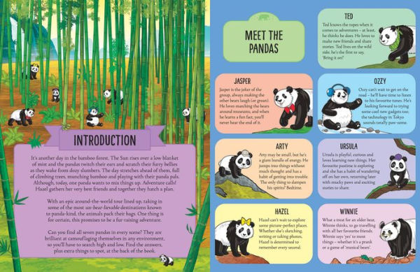 Where's the Panda?: A Cute, Cuddly Search Adventure