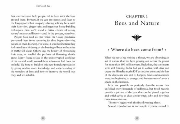 The Good Bee: A Celebration of Bees - And How to Save Them