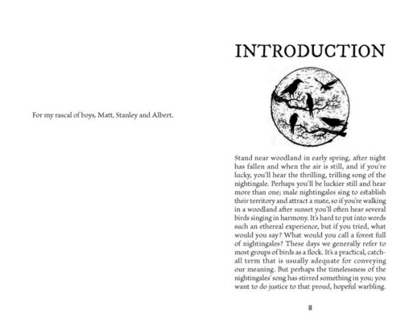 A Parliament of Owls: Book Collective Nouns