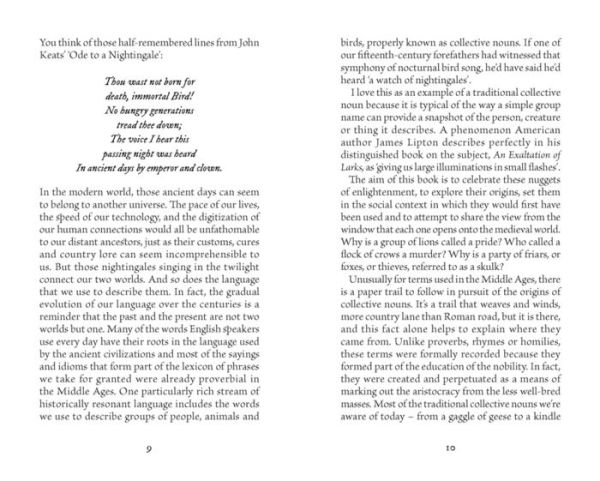 A Parliament of Owls: Book Collective Nouns