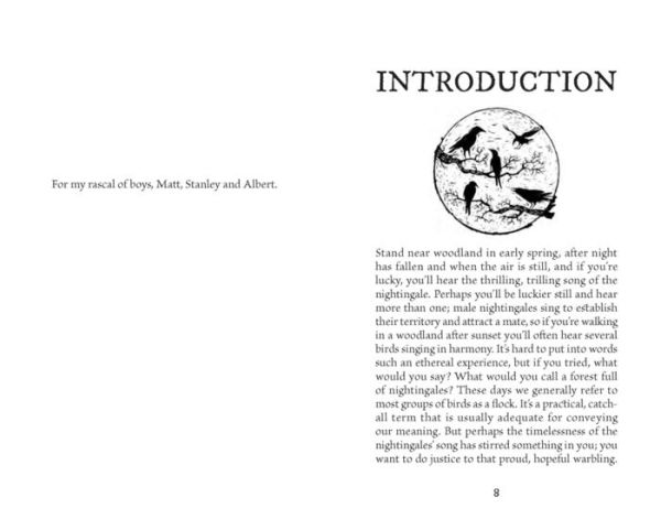 A Parliament of Owls: Book Collective Nouns